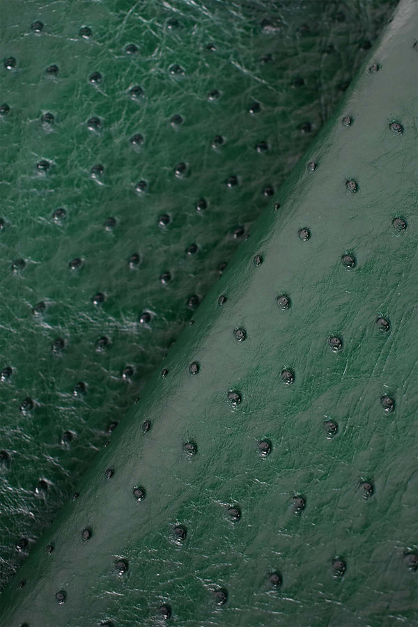 Cuir d'autruche de qualité 1,5 mm Cuir d'autruche de qualité 1,5 mm