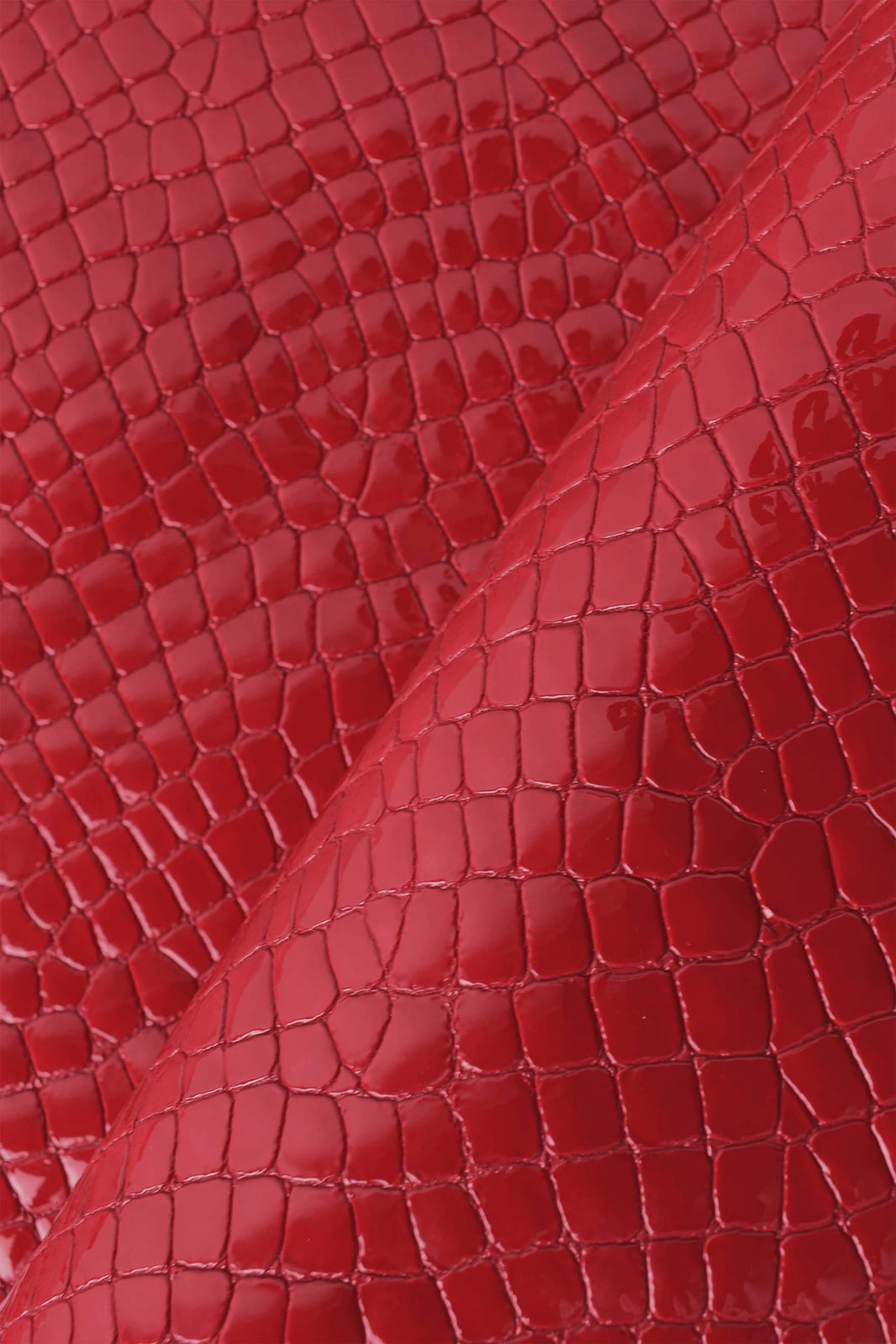 pelle stampa rettile