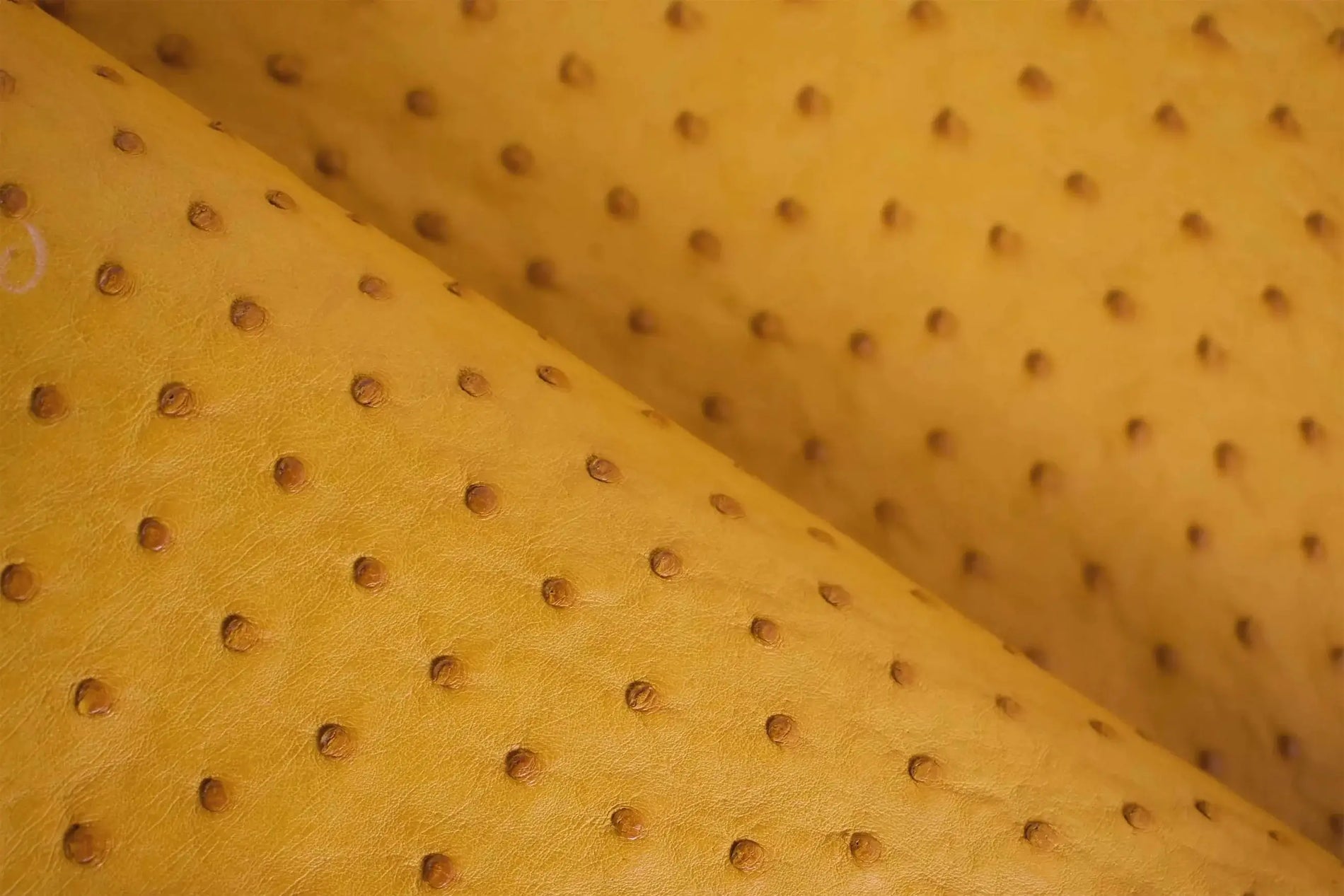 Guida ai migliori pellami per la moda nel 2025