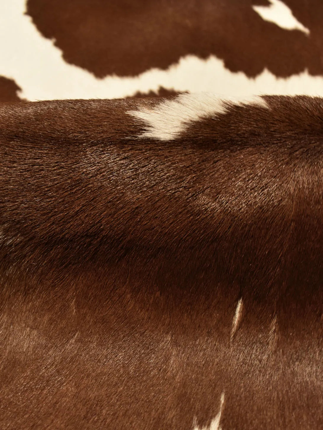 Pelle Cavallino vs Shearling: Quali Differenze e Come Scegliere il Materiale Giusto