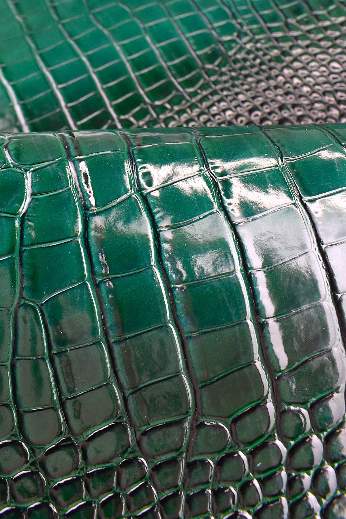 Half calf leather Print crocodile gradient gel effect 1mm size 30-34cm
