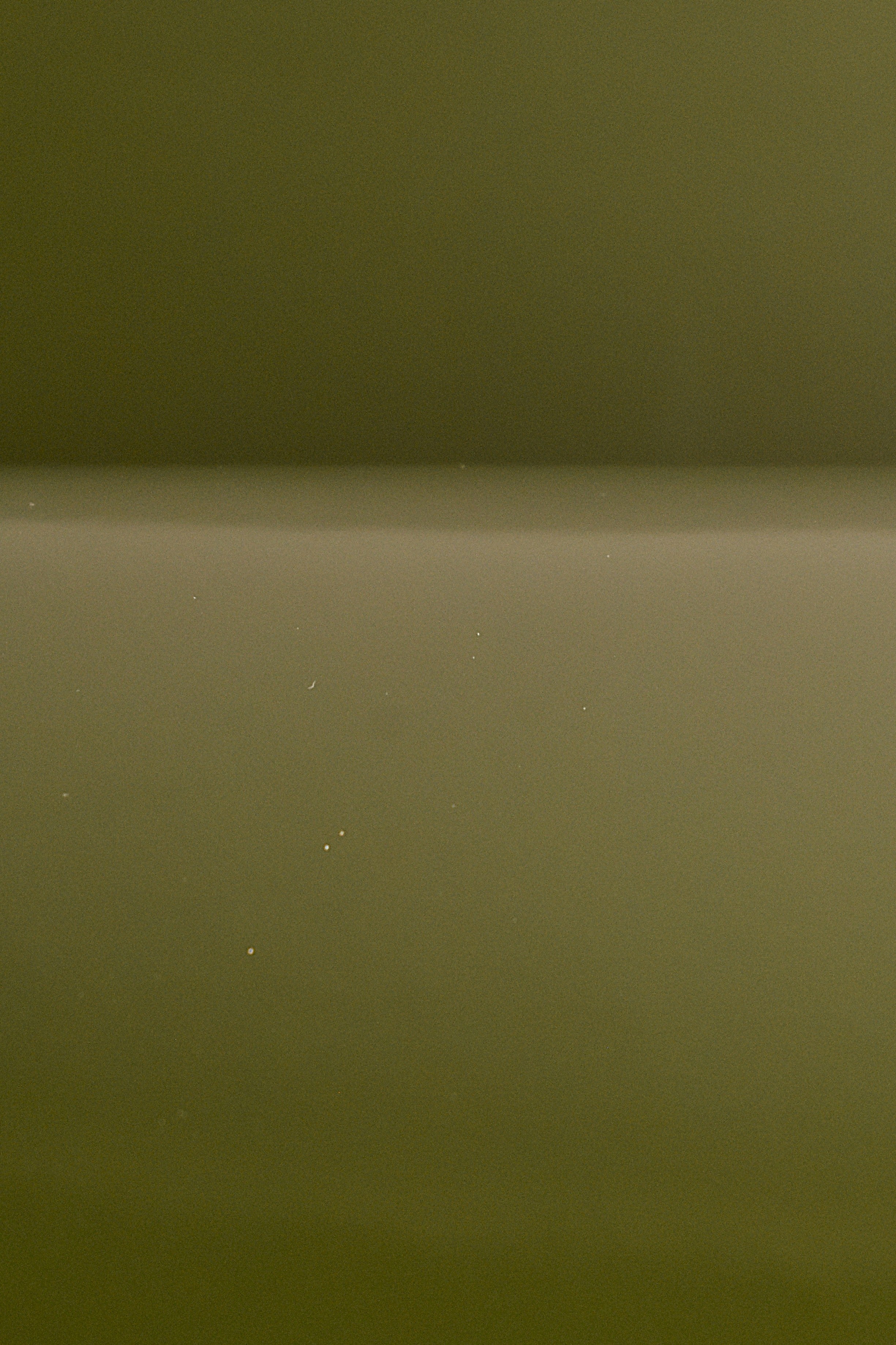 Mezzo vitello verniciato 1,2/1,3mm