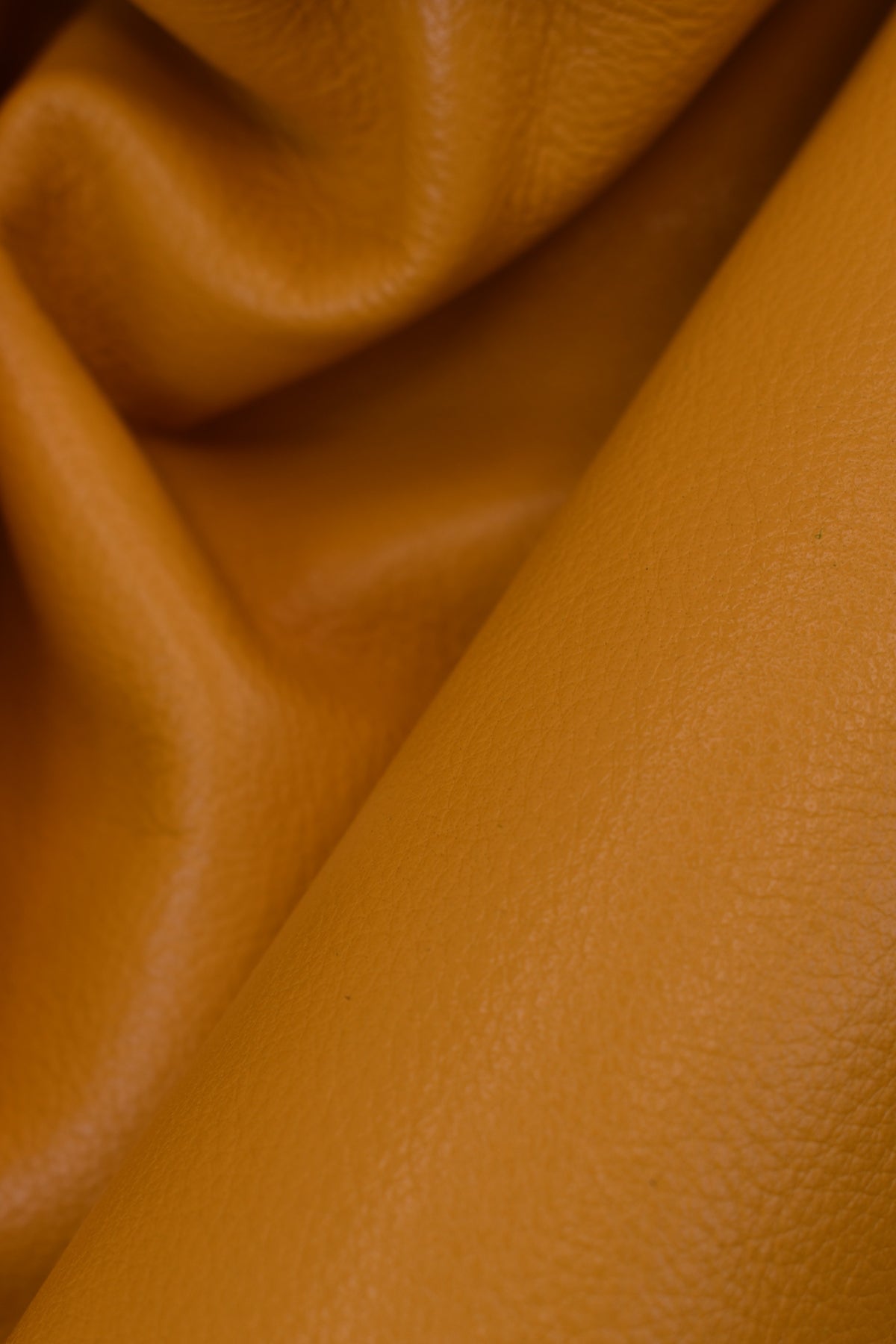 Vitellino bottalato grana naturale 1,1 mm, Giallo Ocra, Liscia