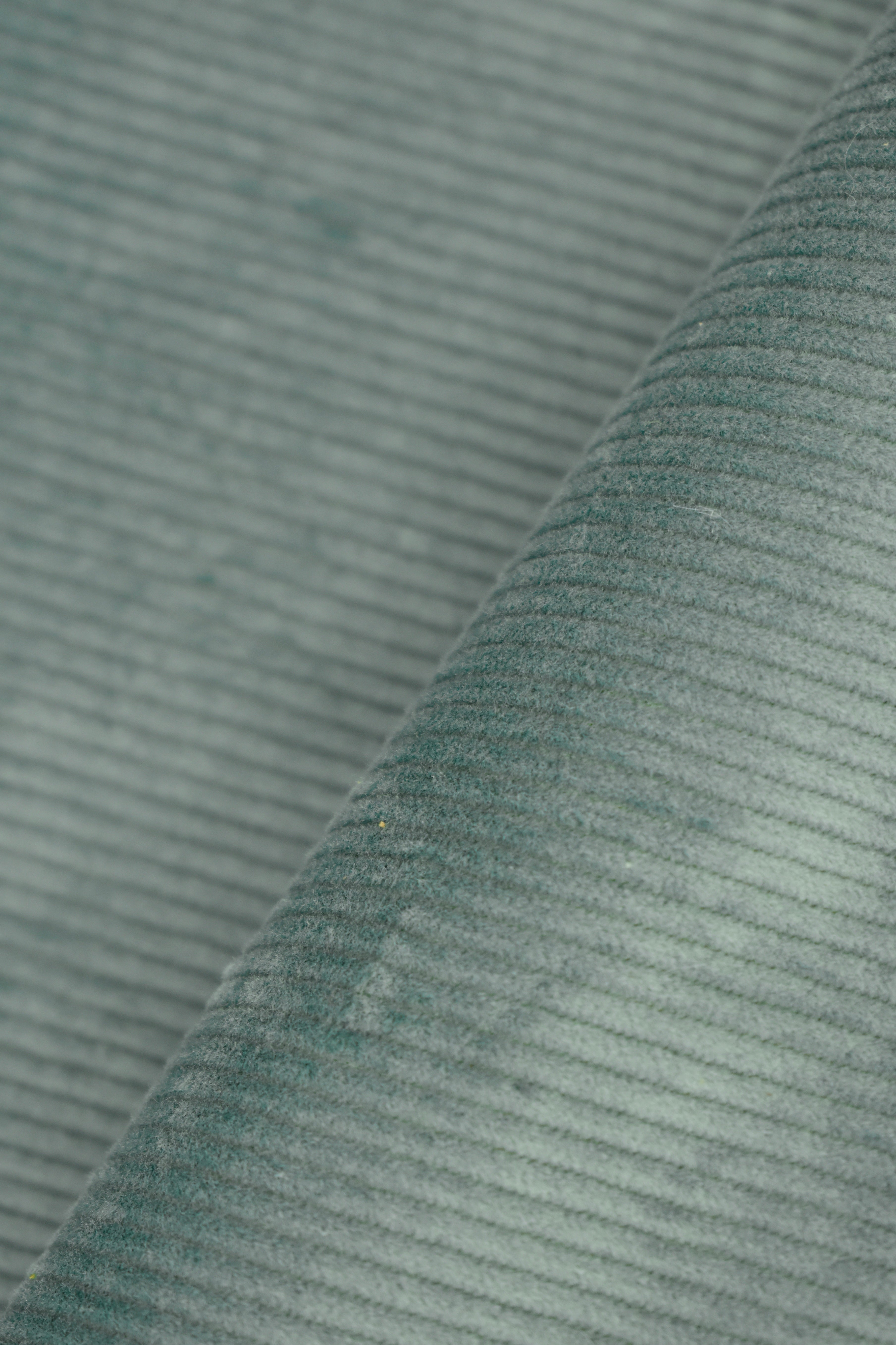 Velluto a coste 500 righe