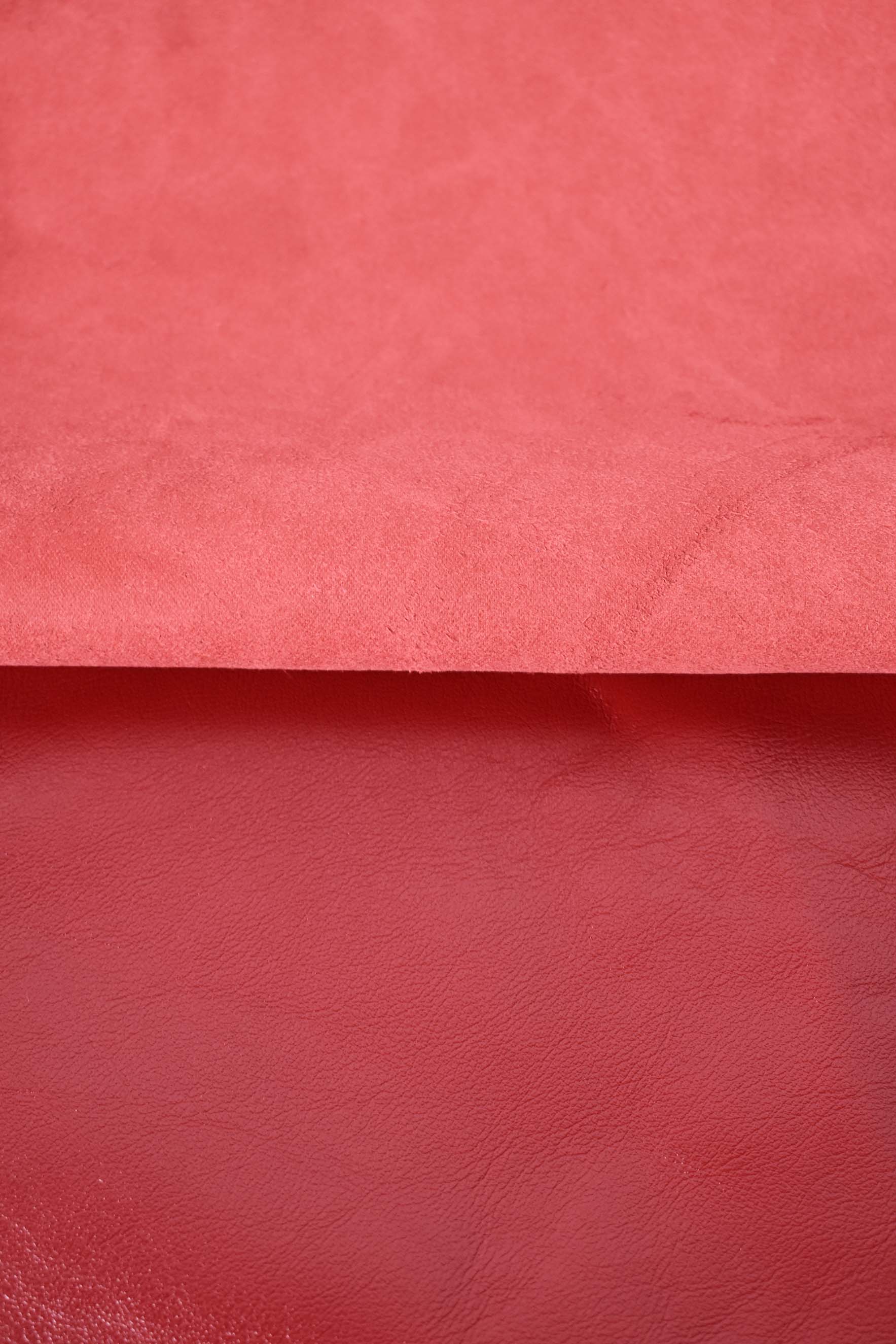 Demi-veau rouge en cuisse