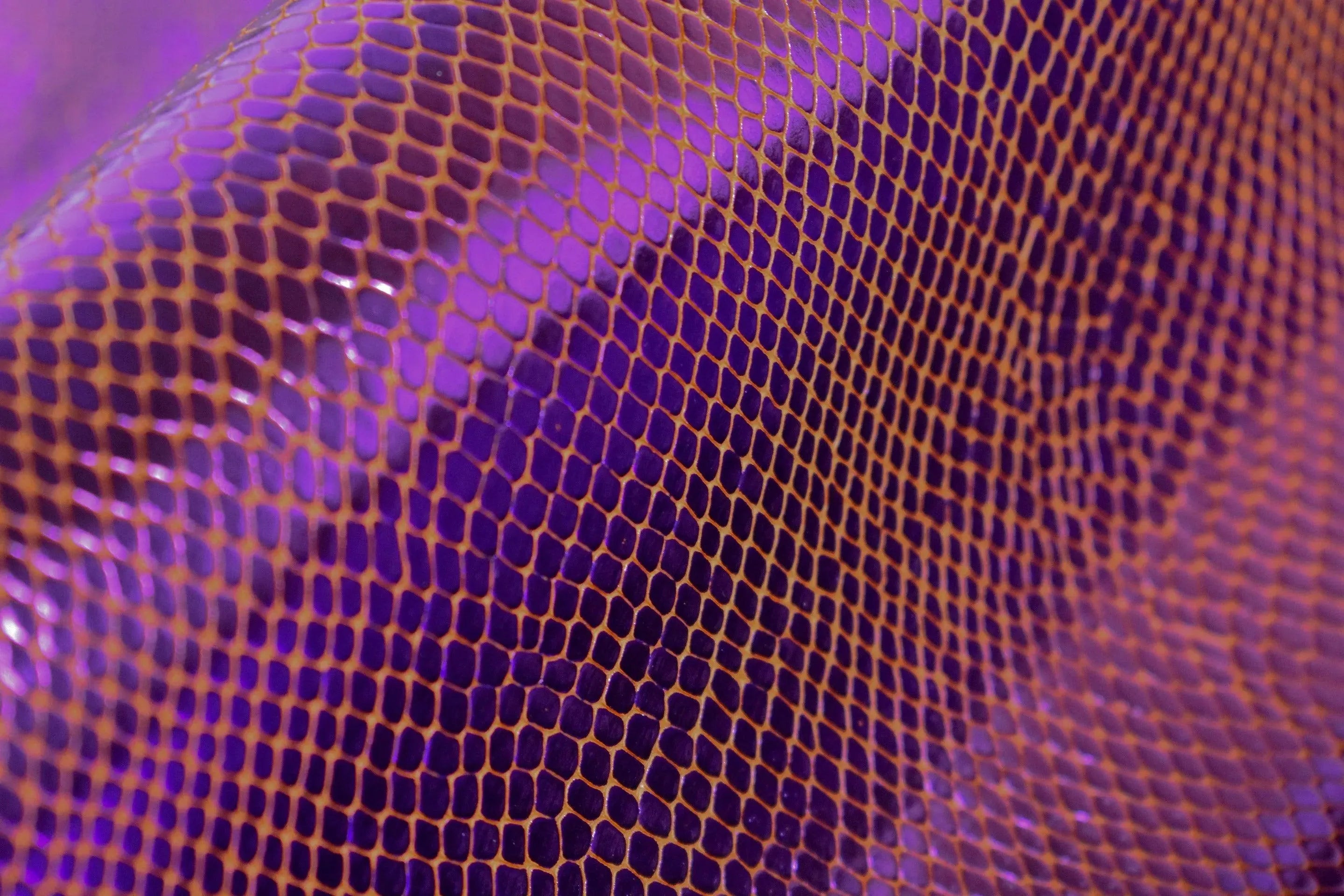 Cuir de veau imprimé python bicolore - Zerow