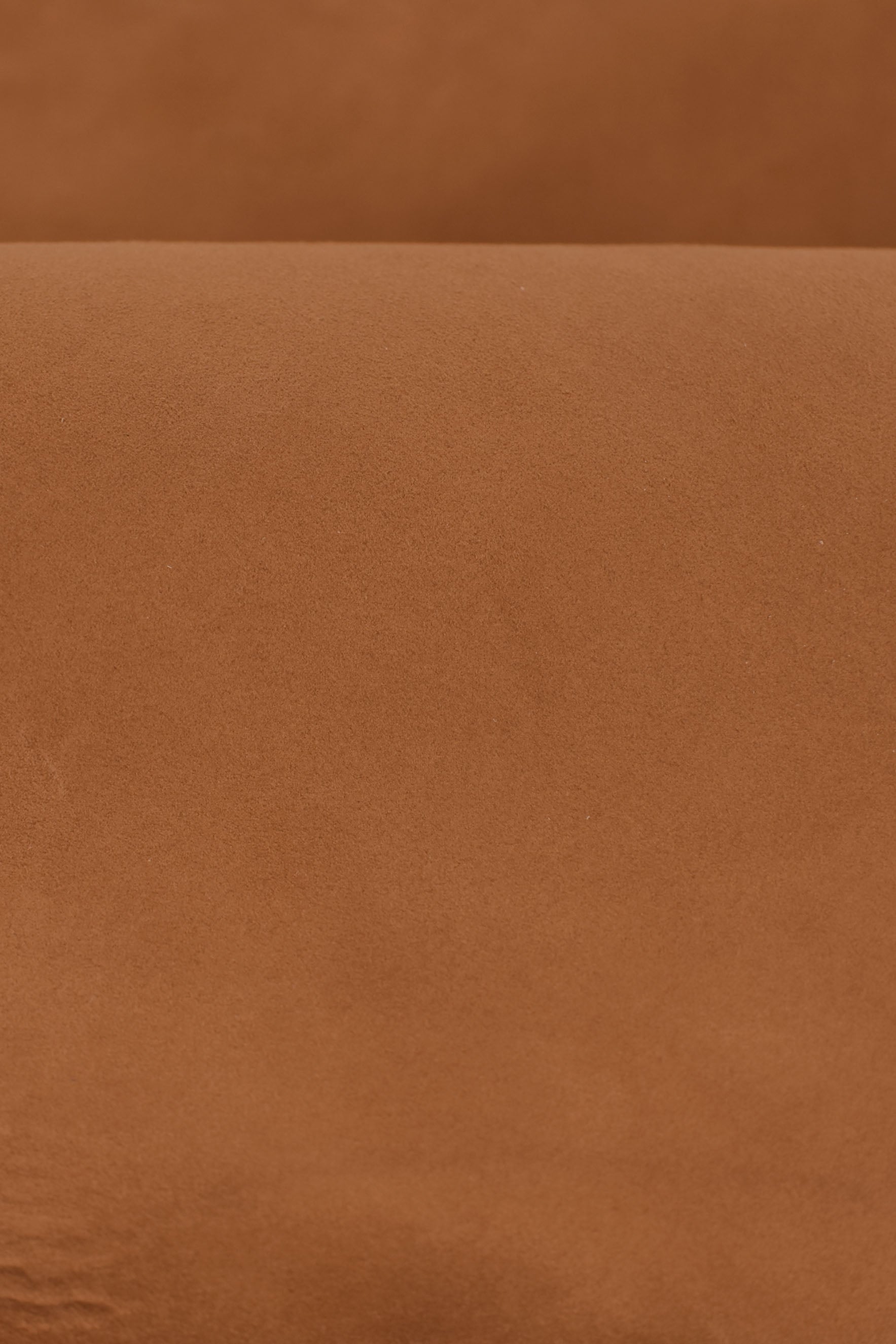 Ante de cabra marrón