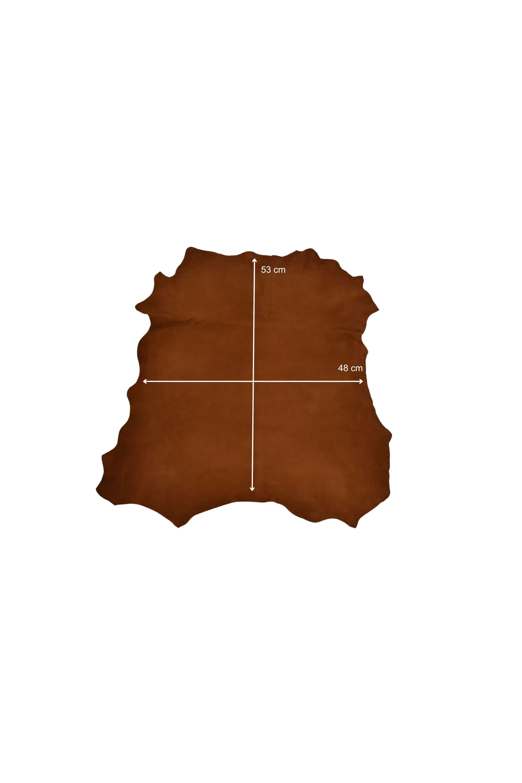 Ante de cabra marrón