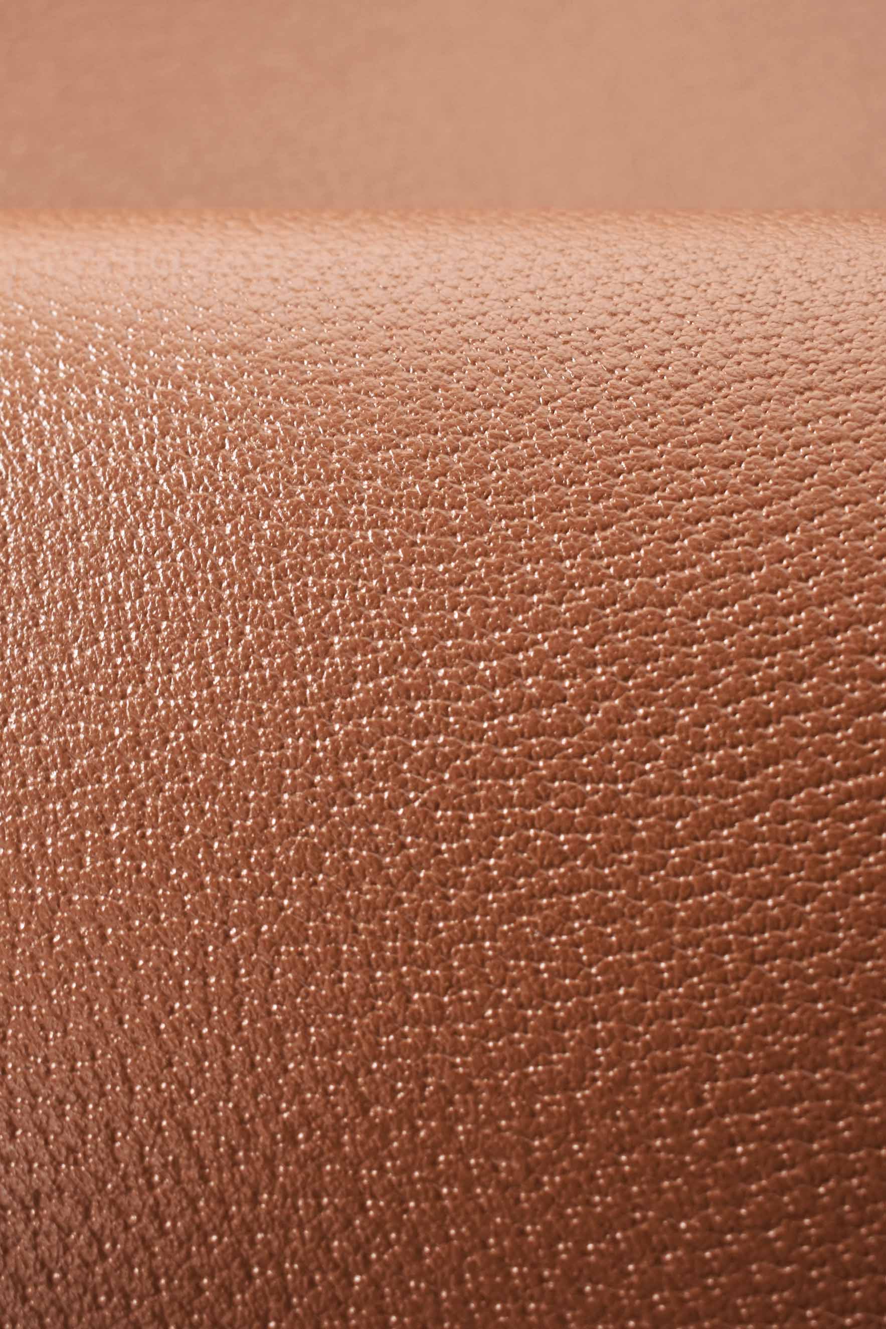 Piel de becerro entera con estampado de dólar marrón