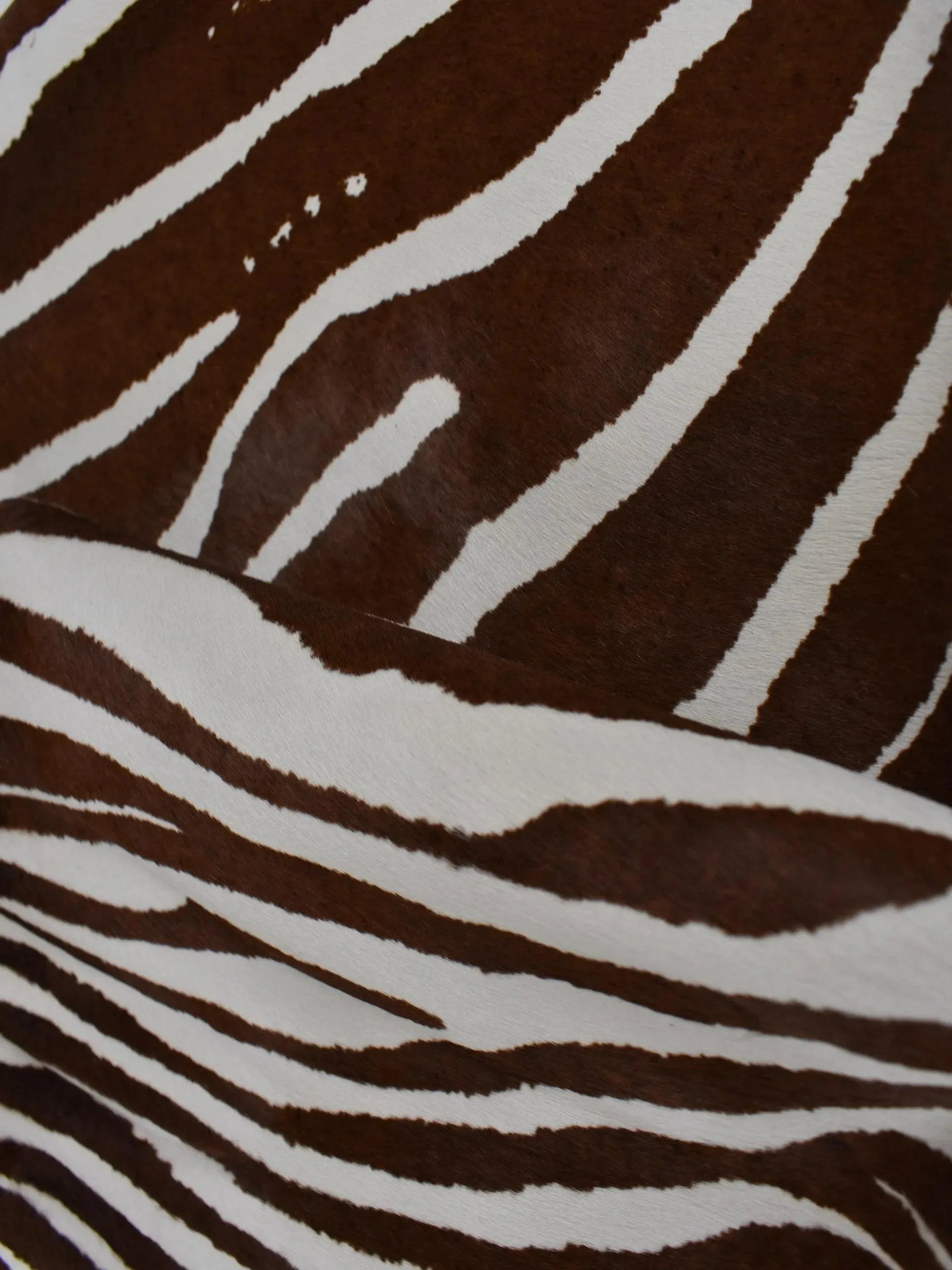 Zebra-striped dark brown pony calfskin - Zerow