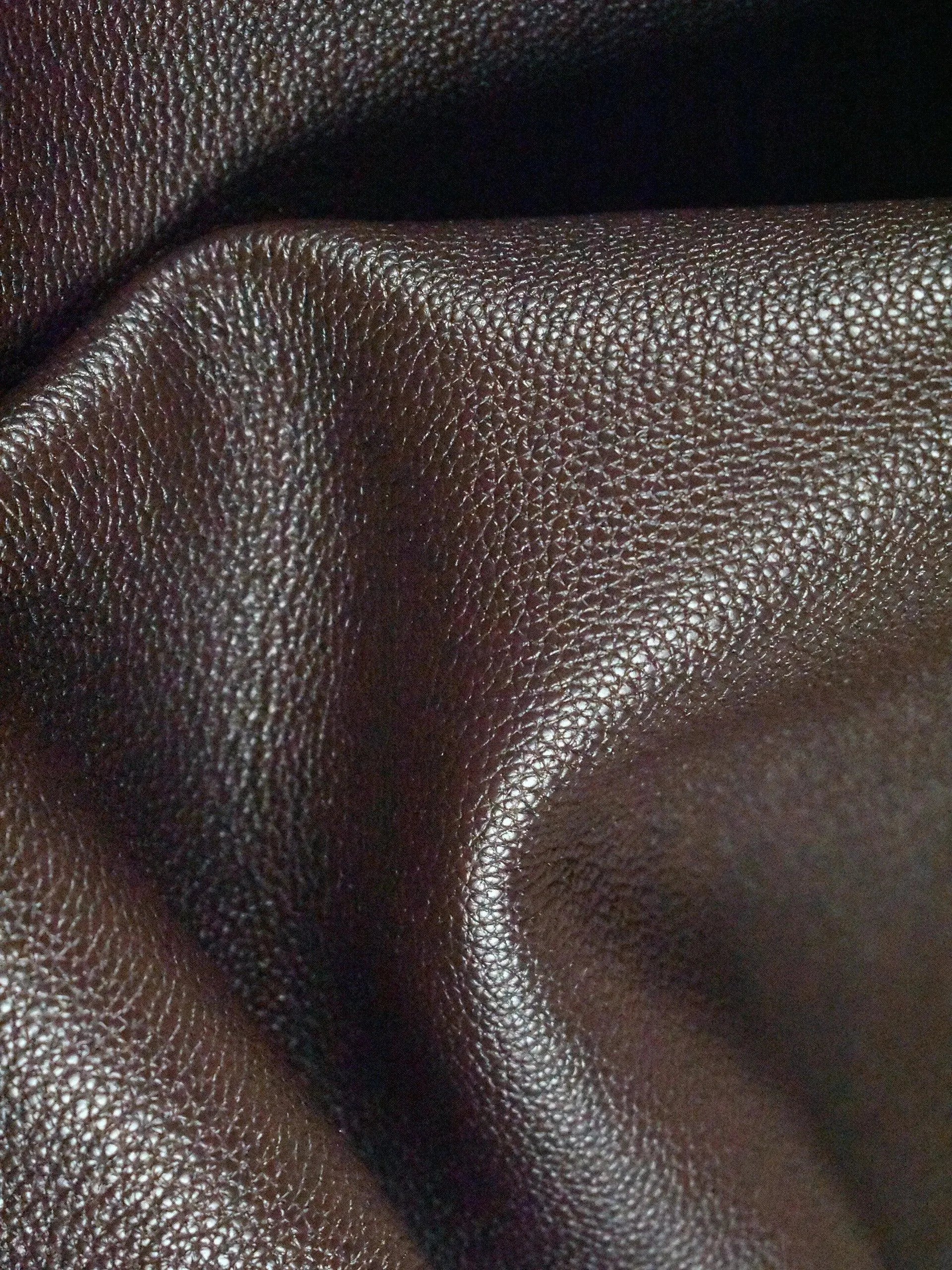 Chocolate Dollar Print Calfskin - Zerow