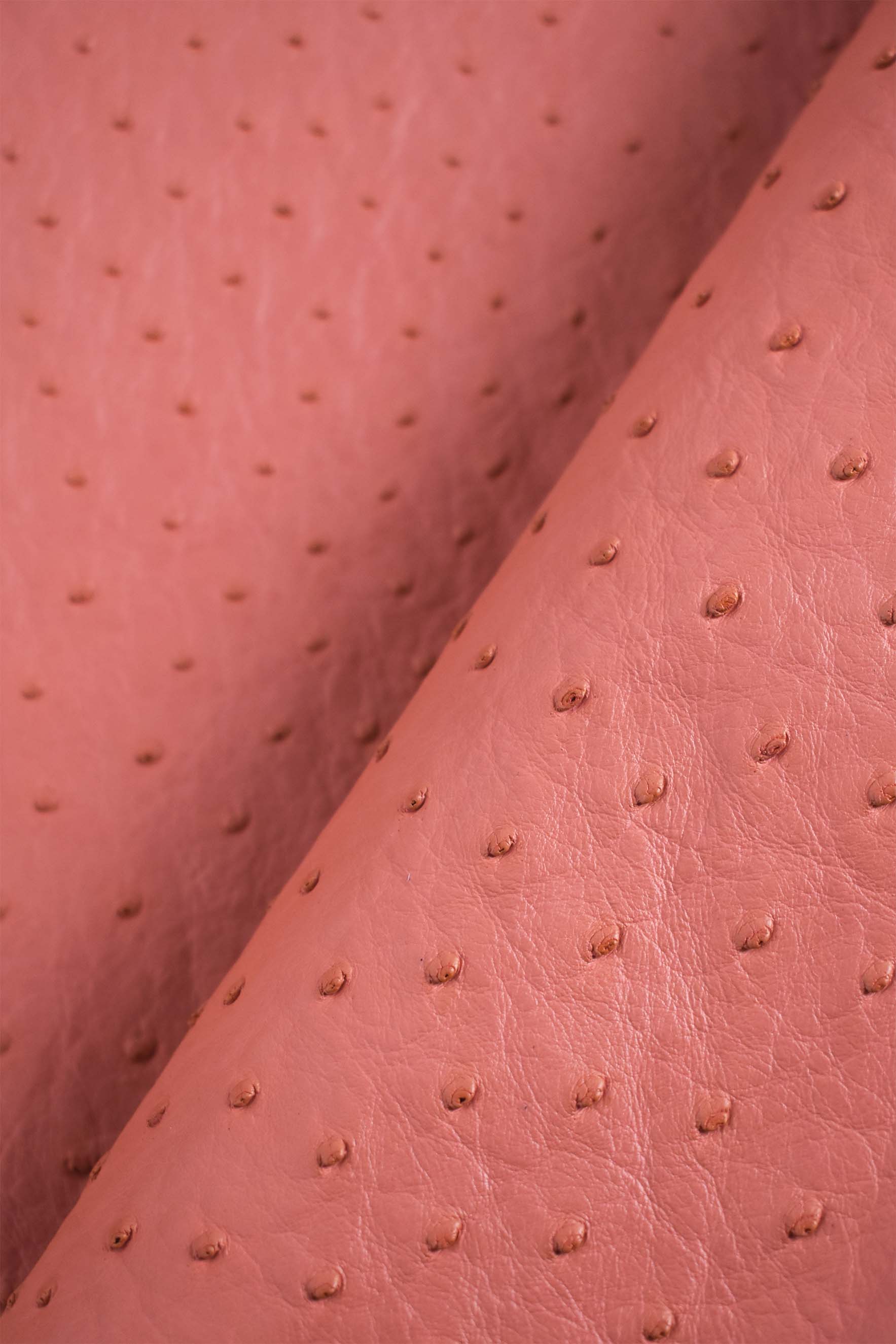 Premium Ostrich leather 1.5 mm Premium Ostrich leather 1.5 mm