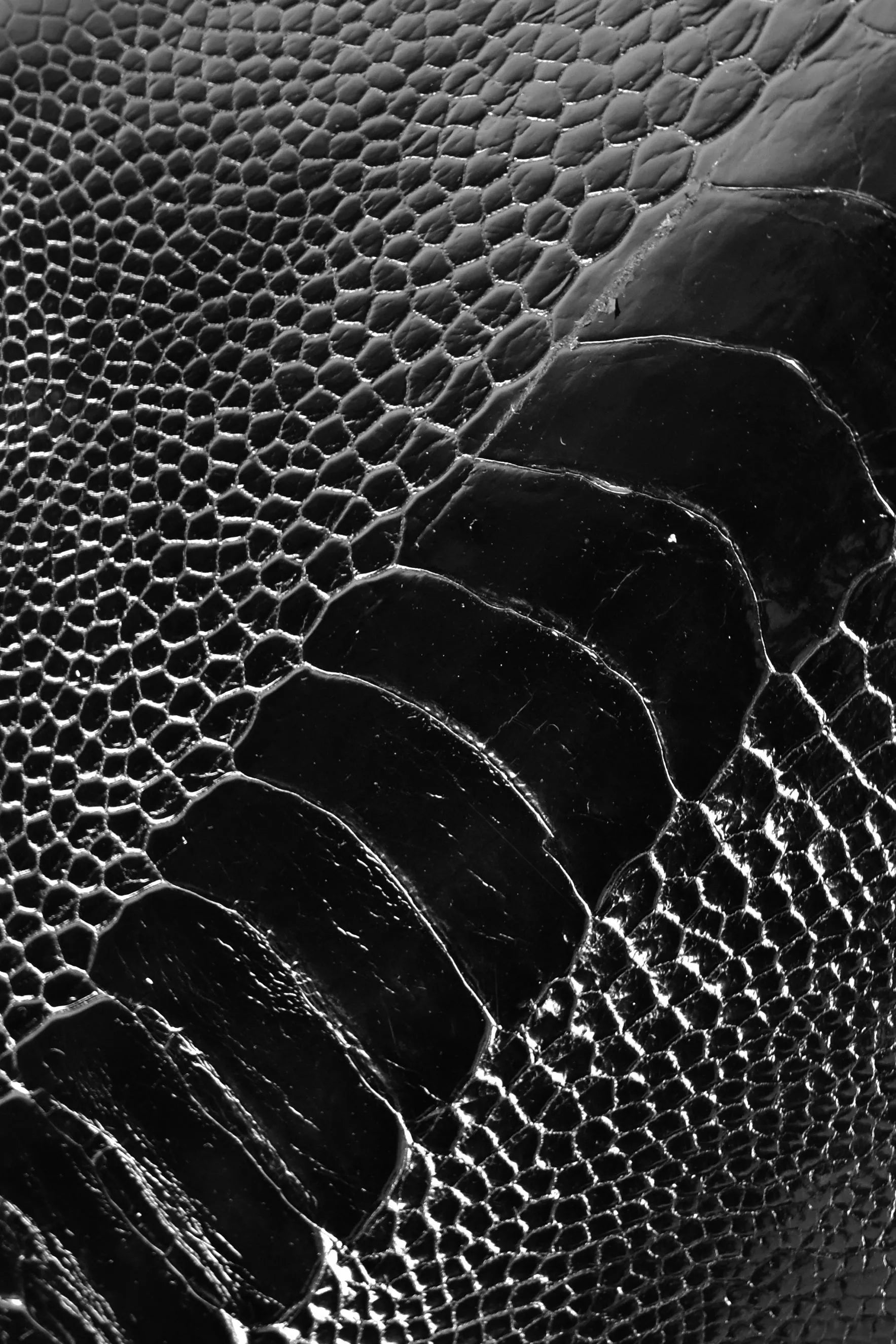 Ostrich Paw Exotic Skin 12 x 44 cm Ostrich Paw Exotic Skin 12 x 44 cm